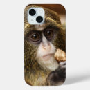 Search for monkey cases Animals