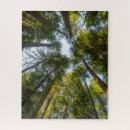 Search for redwood national park puzzles Grove