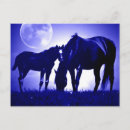 Recherche de cheval de nuit cartes postales Lune