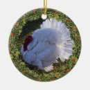 Search for poultry ornaments Livestock