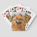 Recherche de spitz jeux de cartes Headshot