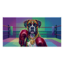 Search for boxer pop Colorful