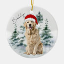 Recherche de golden retriever ornements Noël