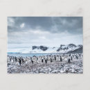 Search for polar climate cards Landscape
