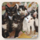 Recherche de personne chat dessous de verres Image de couleur