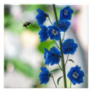 Search for delphinium art Flowers