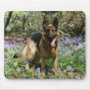 Recherche de fixation tapis souris Photographe canin