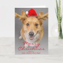 Search for pembroke corgi christmas cards One animal