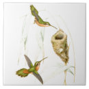 Recherche de nid d carreaux Botanique