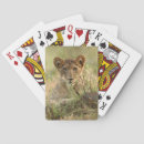 Recherche de lion jeux de cartes Animal sauvage