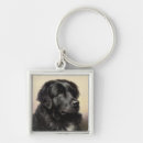 Search for newfoundland dog keychains Animal
