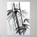 Search for bamboo background posters Botanical
