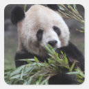 Search for endangered animals stickers Green