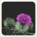 Search for scottish thistle coasters Flower of scotland