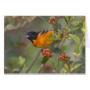 Search for oriole postcards Migration
