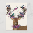 Recherche de oiseau nid posters Amoureux des animaux