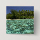 Search for polynesia buttons Nobody