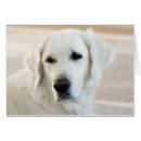 Recherche de salutation vide Blanc