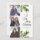 Search for pine branches christmas cards Foliage