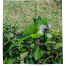 Recherche de perroquet rideaux douche Oiseau