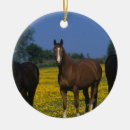 Search for thoroughbred horse ornaments Flowers
