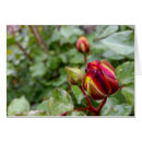 Recherche de sous la pluie cartes postales Rouge