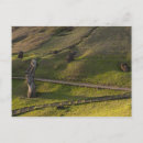 Search for easter island chile postcards Latin