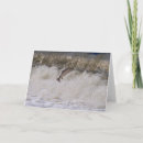 Search for salmon fishing cards River