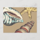 Recherche de étoile jaune cartes postales Mer