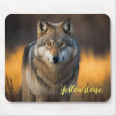 Recherche de loup électronique Pavé souris