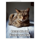 Recherche de sarcastique photographie Chat