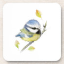 Search for tits Wildlife