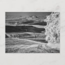 Search for black adam postcards Bw