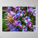 Search for ecosystem posters Nature