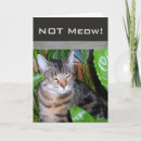 Search for expressive cards Animal