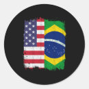 Search for brazilian flag stickers America