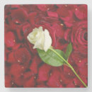 Recherche de pétales dessous de verres Jardin