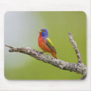 Search for bunt mousepads Bird