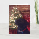 Search for lab christmas cards Black