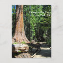 Search for calaveras postcards Nature