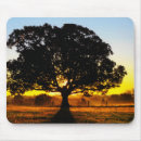Search for morning mousepads Barn