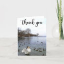 Recherche de lac cygne vœux cartes Nature