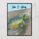 Search for turtle lover postcards Sea creature