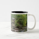 Search for forest waterfall mugs State park