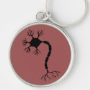 Search for neuron keychains Biology