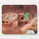 Recherche de tortue mignonne tapis souris Tortues