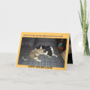 Search for adoptions cards Kitty