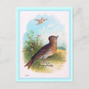 Search for larks postcards Nature