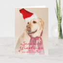 Search for people christmas cards Canine