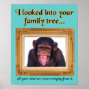 Recherche de monkey posters Humor